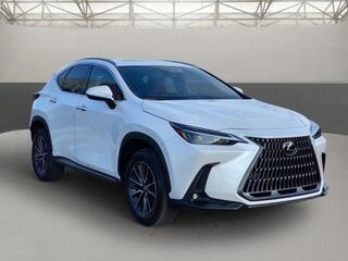 2024 Lexus NX 250 for sale in Chattanooga TN