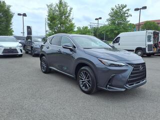 2024 Lexus NX 250 for sale in Nashville TN
