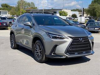 2025 Lexus NX 250