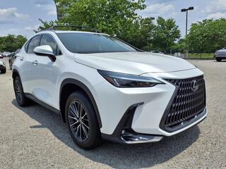 2025 Lexus NX 250 for sale in Nashville TN