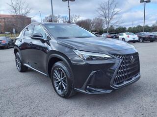 2023 Lexus NX 250 for sale in Nashville TN