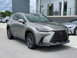 2025 Lexus NX 250