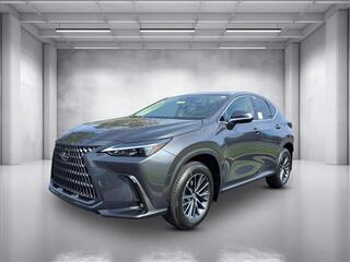 2025 Lexus NX 250