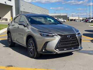 2024 Lexus NX 250 for sale in Chattanooga TN