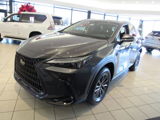 2022 Lexus NX 250 for sale in Toledo OH