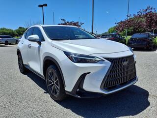 2024 Lexus NX 250 for sale in Nashville TN