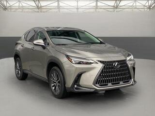 2024 Lexus NX 250 for sale in Chattanooga TN