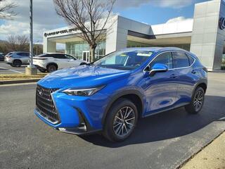 2025 Lexus NX 250 for sale in Brentwood TN