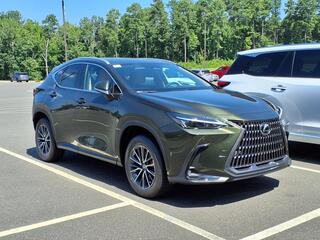 2025 Lexus NX 250 for sale in Durham NC