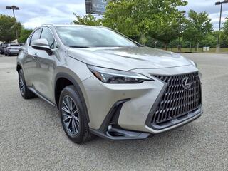 2025 Lexus NX 250 for sale in Nashville TN