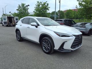 2025 Lexus NX 250 for sale in Nashville TN