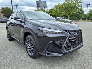 2025 Lexus NX 250 for sale in Nashville TN