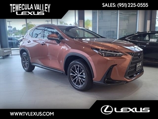 2025 Lexus NX 250 for sale in Temecula CA