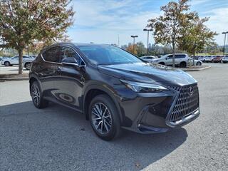 2025 Lexus NX 250 for sale in Nashville TN