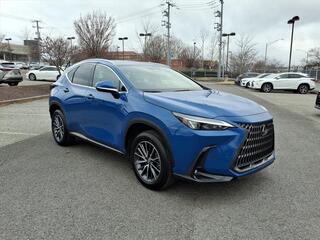 2025 Lexus NX 250 for sale in Nashville TN