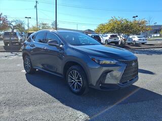 2025 Lexus NX 250 for sale in Nashville TN