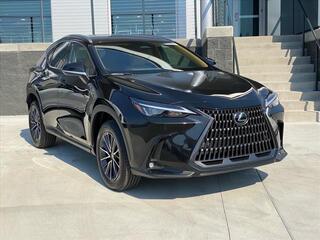 2025 Lexus NX 250 for sale in Chattanooga TN