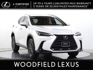 2022 Lexus NX 250 for sale in Schaumburg IL