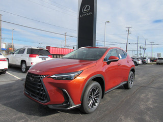 2023 Lexus NX 250 for sale in Toledo OH