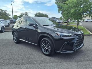 2025 Lexus NX 250 for sale in Nashville TN