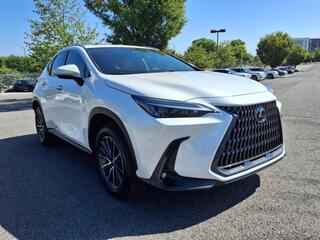 2025 Lexus NX 250 for sale in Nashville TN