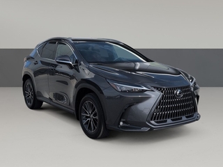 2025 Lexus NX 250 for sale in Chattanooga TN