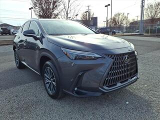 2025 Lexus NX 250 for sale in Nashville TN