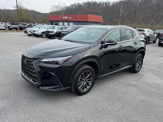2025 Lexus NX 250 for sale in Kingsport TN