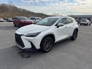 2025 Lexus NX 250 for sale in Kingsport TN