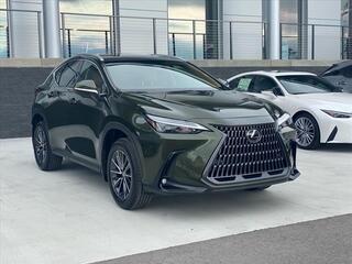 2025 Lexus NX 250 for sale in Chattanooga TN