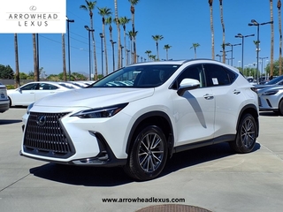2025 Lexus NX 250
