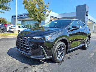 2025 Lexus NX 250 for sale in Brentwood TN