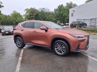 2025 Lexus NX 250 for sale in Little Falls NJ