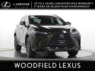 2022 Lexus NX 250 for sale in Schaumburg IL