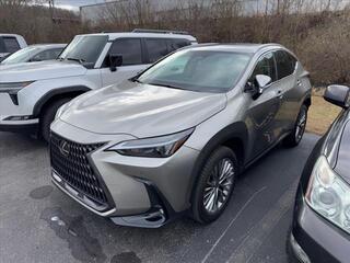 2022 Lexus NX 350 for sale in Kingsport TN