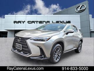 2022 Lexus NX 350