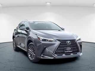 2023 Lexus NX 350 for sale in Freehold NJ