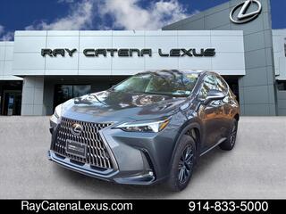2023 Lexus NX 350 for sale in Larchmont NY