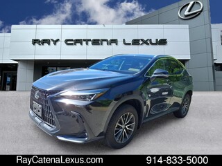 2023 Lexus NX 350 for sale in Larchmont NY
