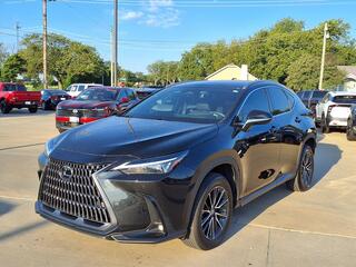 2024 Lexus NX 350