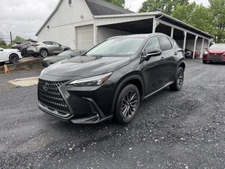 2024 Lexus NX 350 for sale in Allentown PA