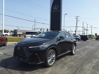 2025 Lexus NX 350 for sale in Toledo OH