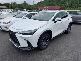 2025 Lexus NX 350 for sale in Kingsport TN