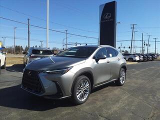 2025 Lexus NX 350 for sale in Toledo OH