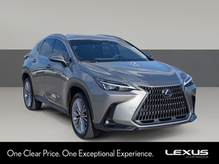 2025 Lexus NX 350 for sale in Chattanooga TN