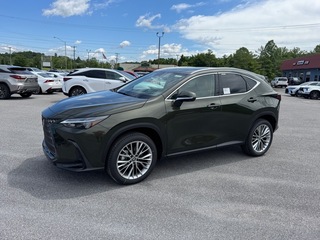 2025 Lexus NX 350