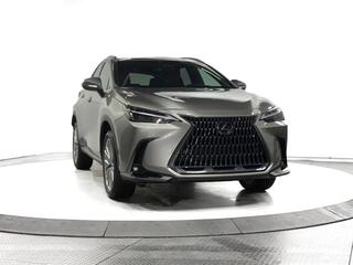 2025 Lexus NX 350 for sale in Schaumburg IL