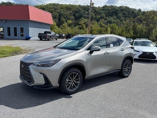 2026 Lexus NX 350 for sale in Kingsport TN