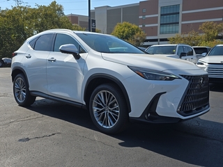 2026 Lexus NX 350 for sale in Brookfield WI