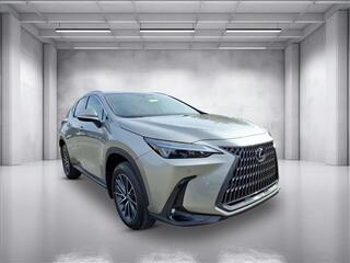 2026 Lexus NX 350 for sale in Nashville TN